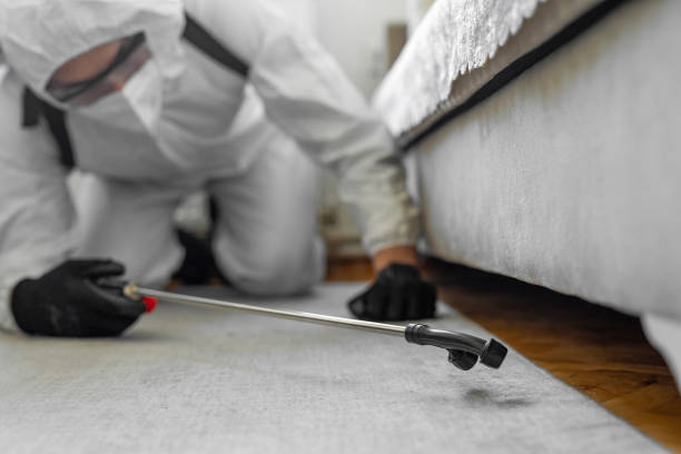 Professional Bed Bug Control technician working in North Royalton, OH