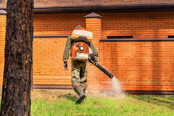 Trusted Bed Bug Control service in North Royalton, OH - Nex Pest Control